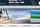 Liteforex-home